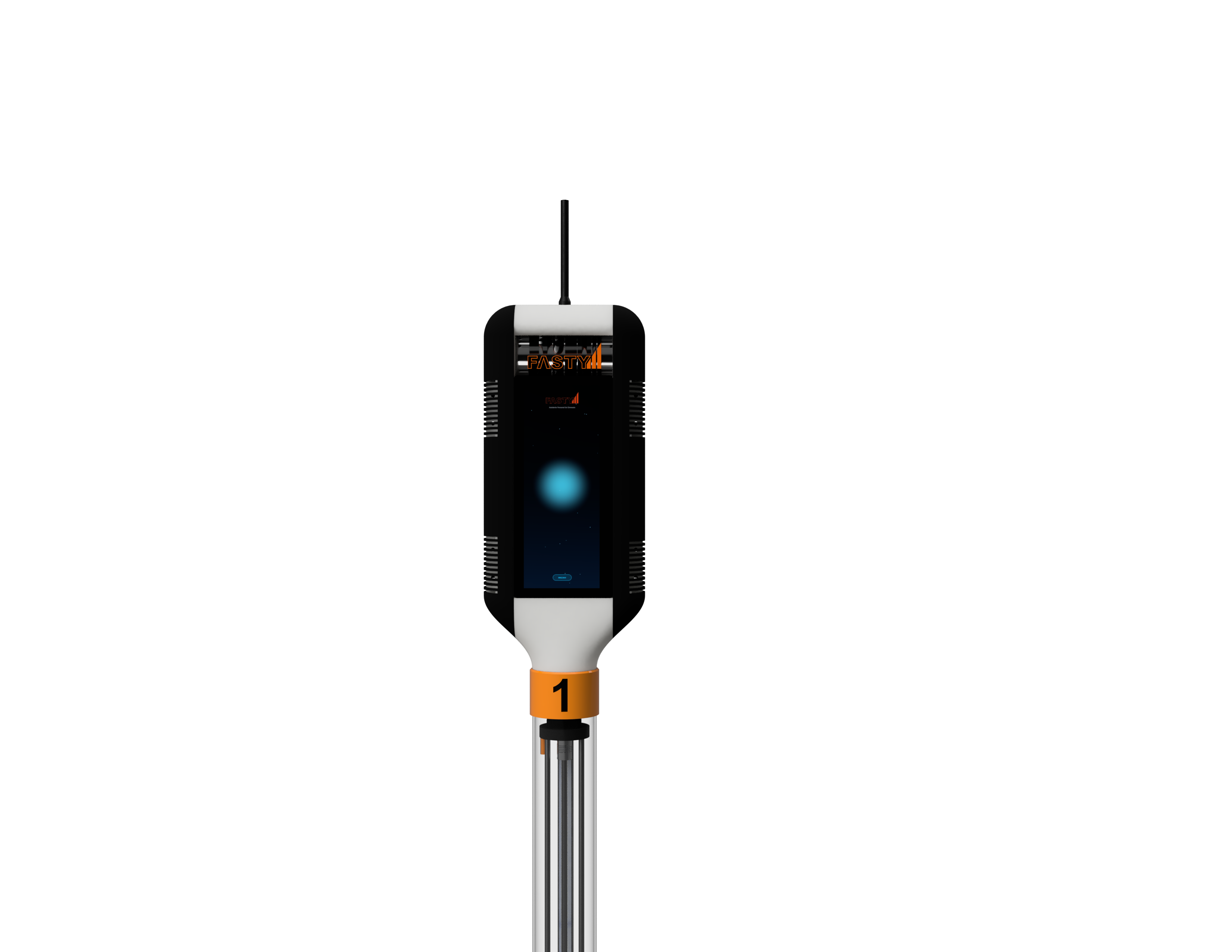 Totem FASTY